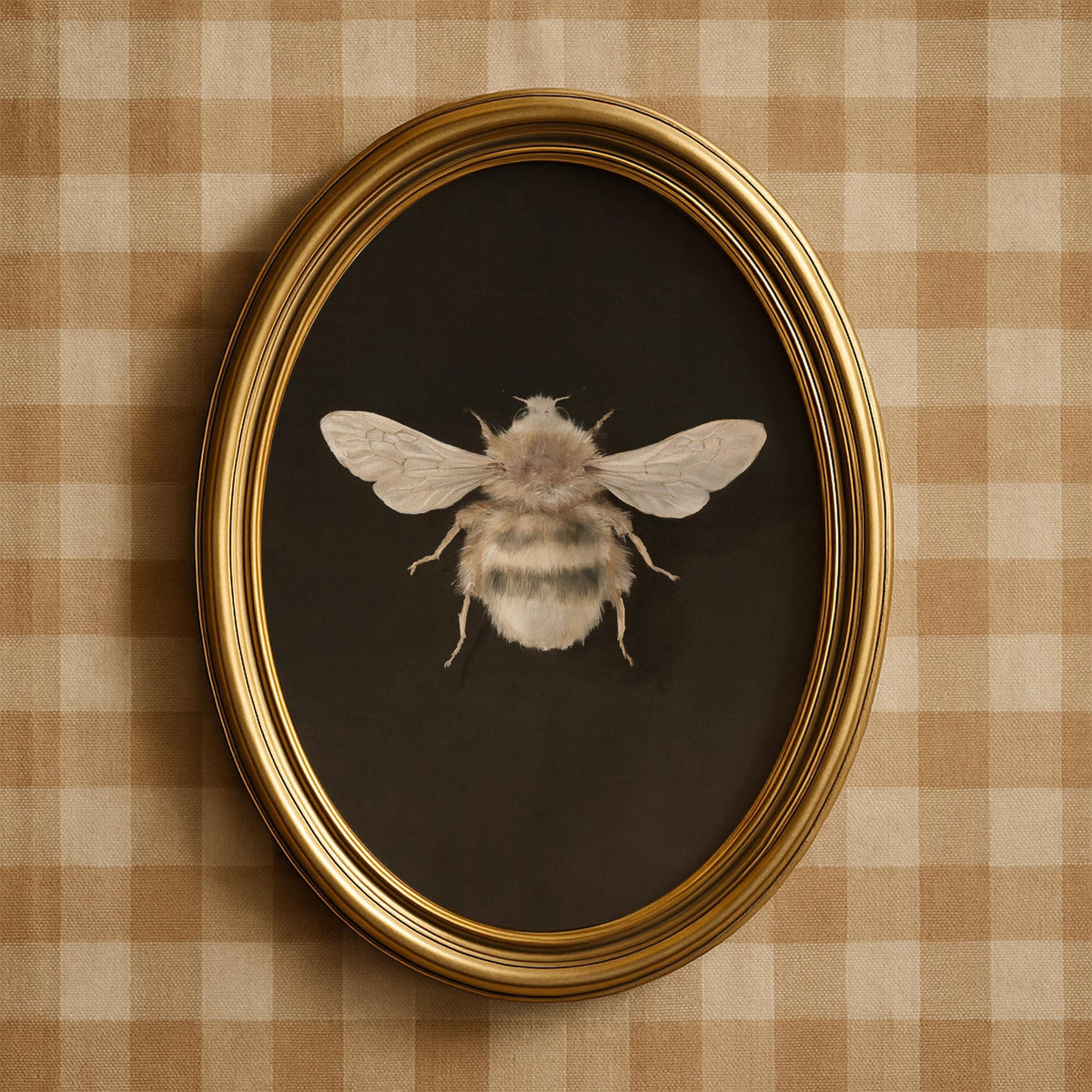 Antique entomology poster printable art — detailed fuzzy bee specimen with contrasting backdrop