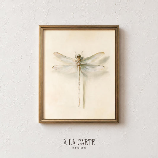 Botanical insect poster for office — fine-detail specimen art with warm amber highlights