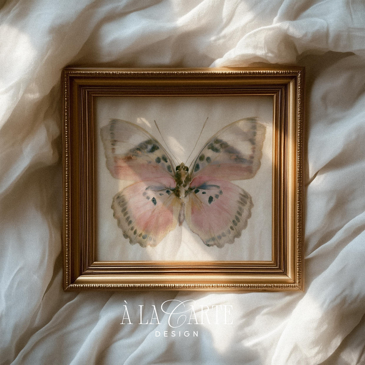 Antique-inspired insect digital art for bedroom — soft feminine silhouette against weathered background