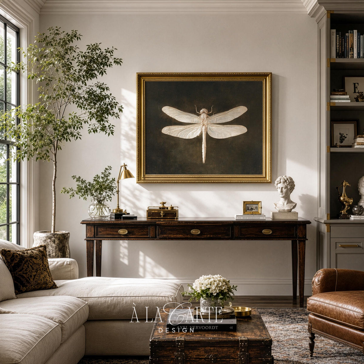 Antique natural history picture featuring cream dragonfly on moody charcoal background with textured vintage appeal
