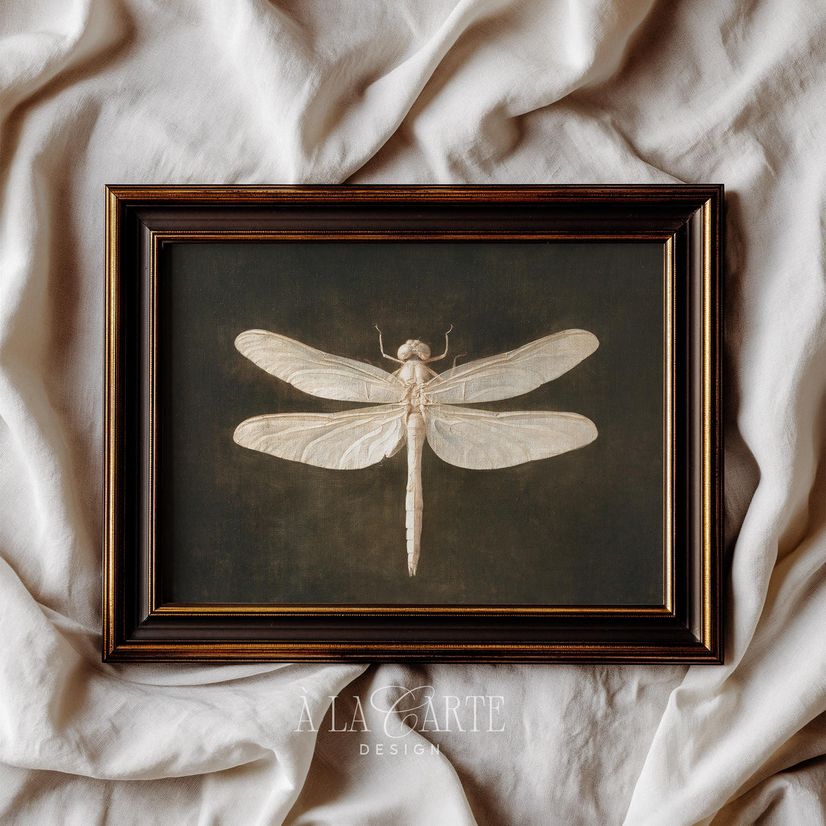 Vintage specimen plate digital print of dragonfly with translucent wings and antique dark academia atmosphere