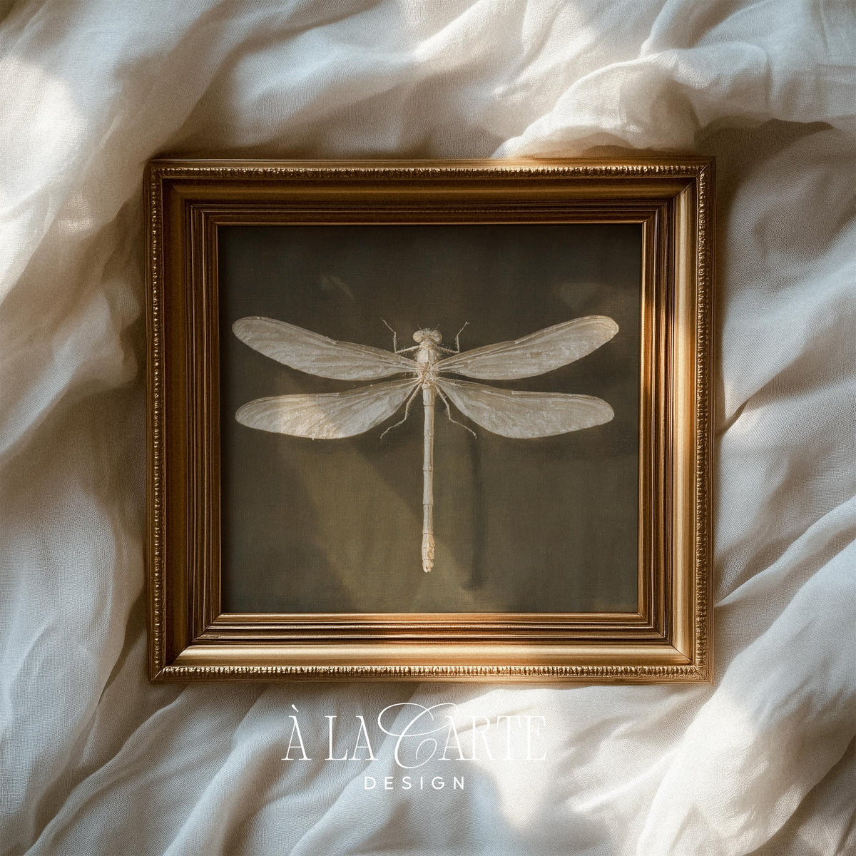 Vintage Dragonfly Wall Art, Vintage Insect Printable, Entomology Decor, White Dragonfly, Moody Cottagecore Print, Dark Academia Decor H1236
