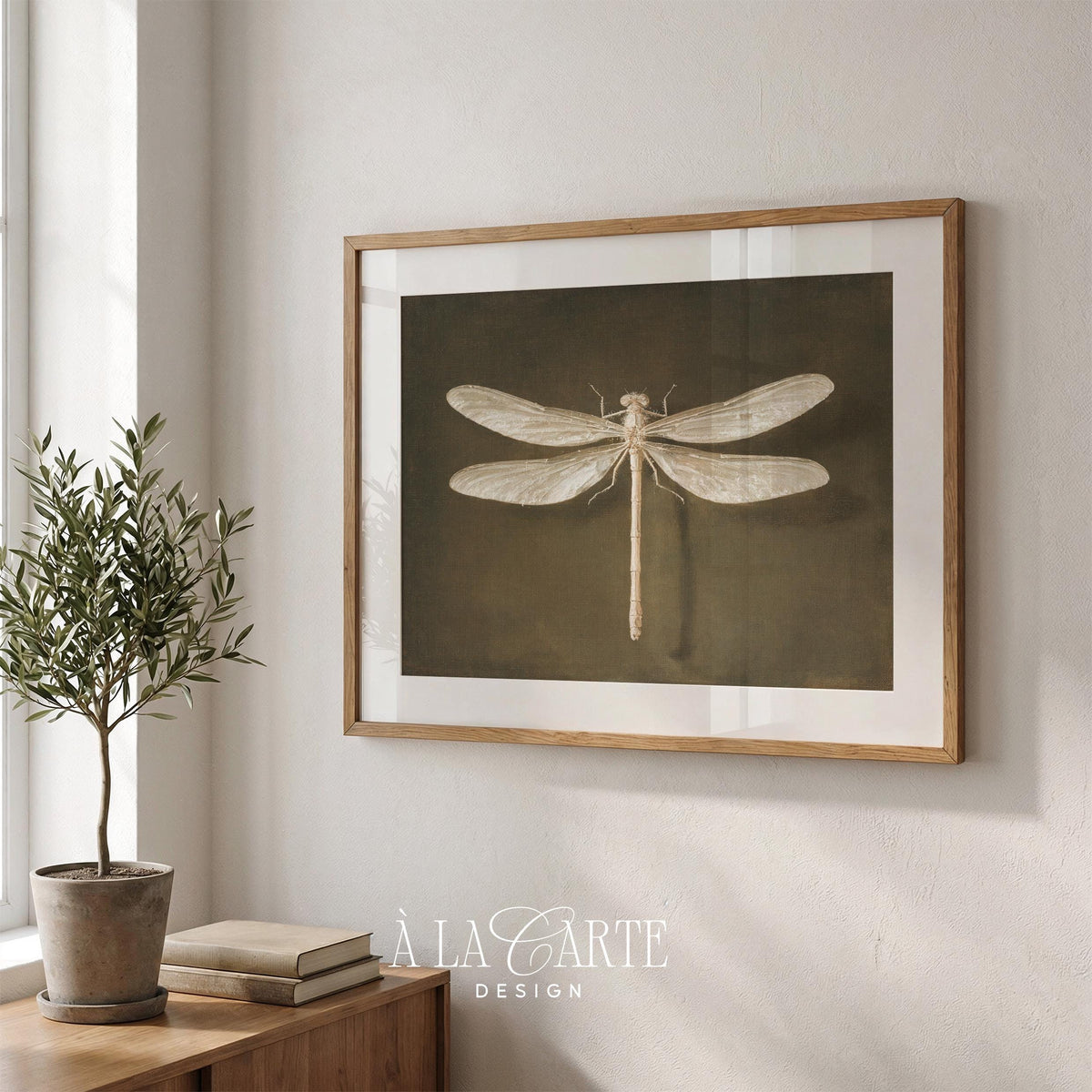 Vintage Dragonfly Wall Art, Vintage Insect Printable, Entomology Decor, White Dragonfly, Moody Cottagecore Print, Dark Academia Decor H1236