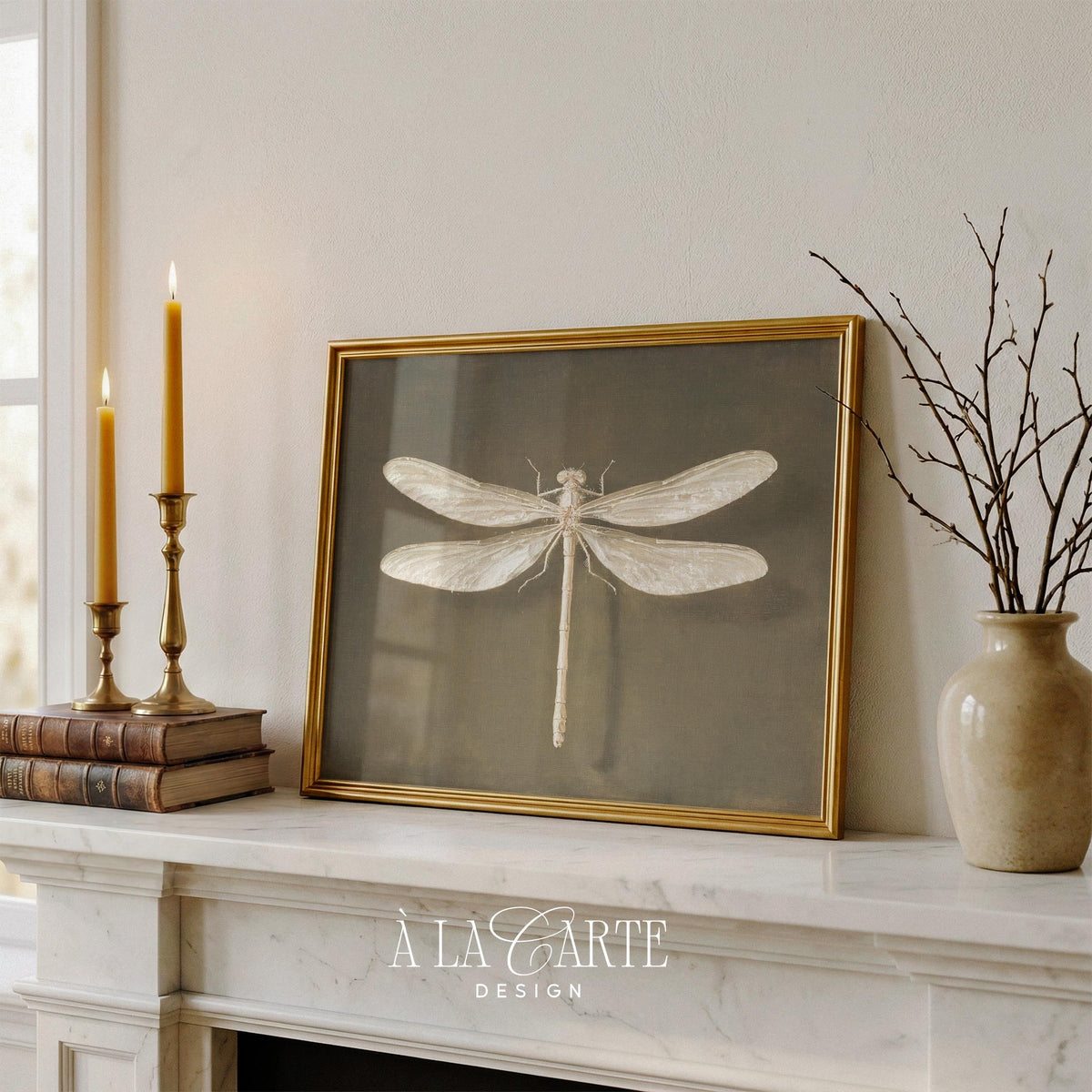Vintage Dragonfly Wall Art, Vintage Insect Printable, Entomology Decor, White Dragonfly, Moody Cottagecore Print, Dark Academia Decor H1236