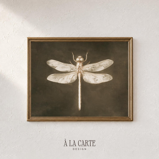Vintage dragonfly wall art for study room — sepia-toned insect poster with moody dark background and aged paper finish