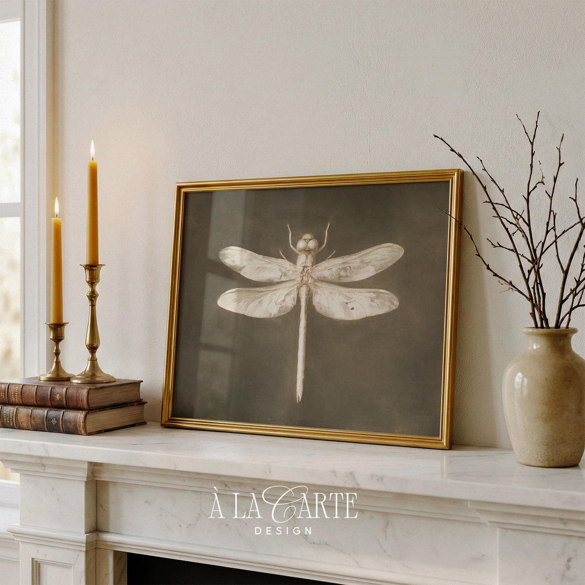 Vintage dragonfly illustration printable art — naturalist specimen study with sepia tones and dark academia aesthetic