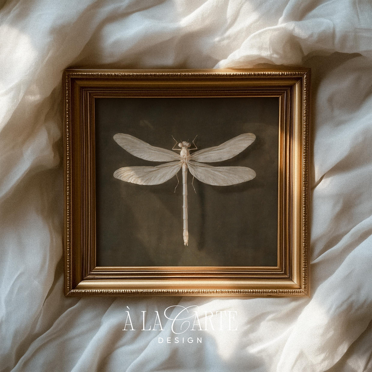 Naturalist dragonfly poster instant download — soft tones with weathered texture capturing old scientific study quality