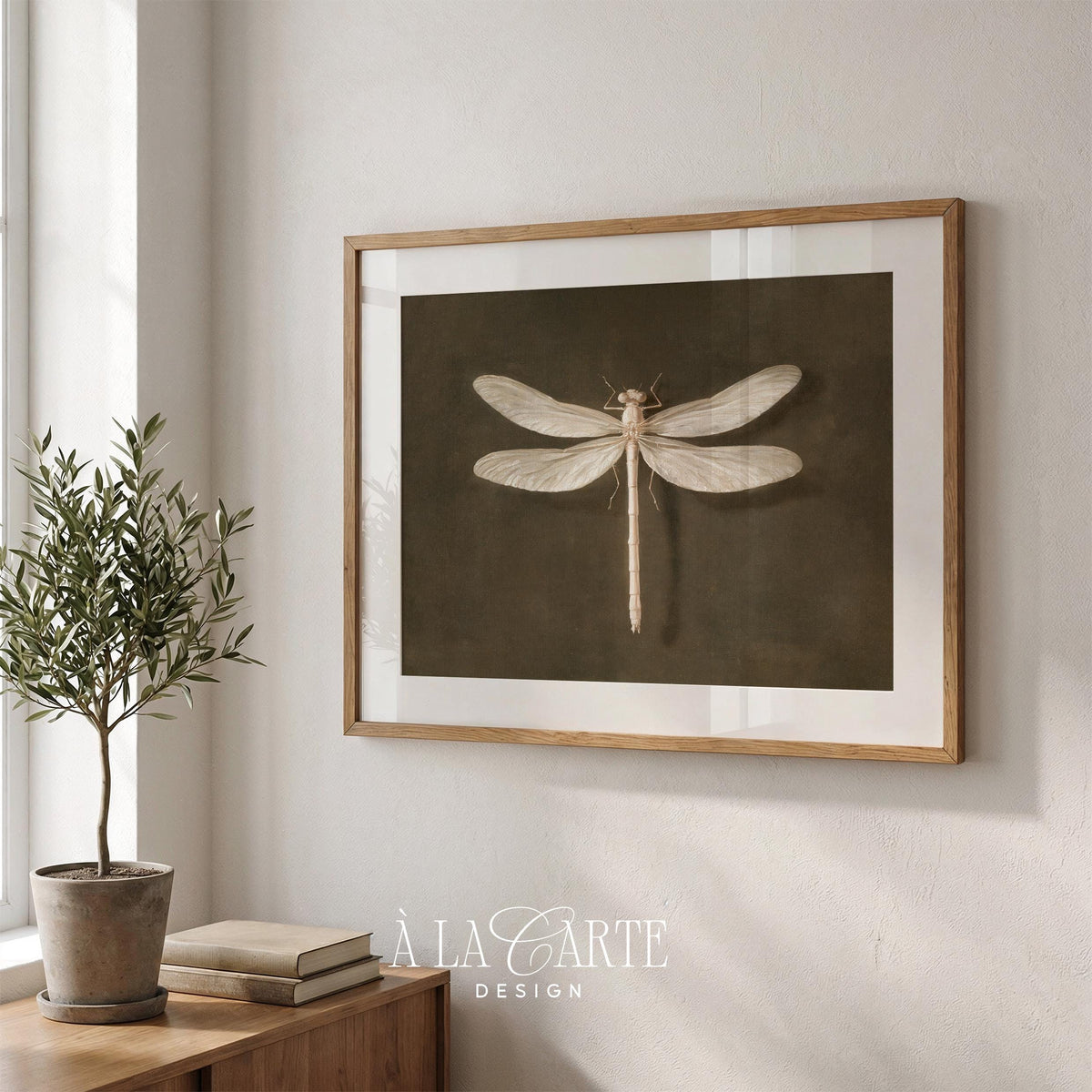 Vintage specimen poster for office — detailed dragonfly rendering in soft neutral tones with old-world museum appeal