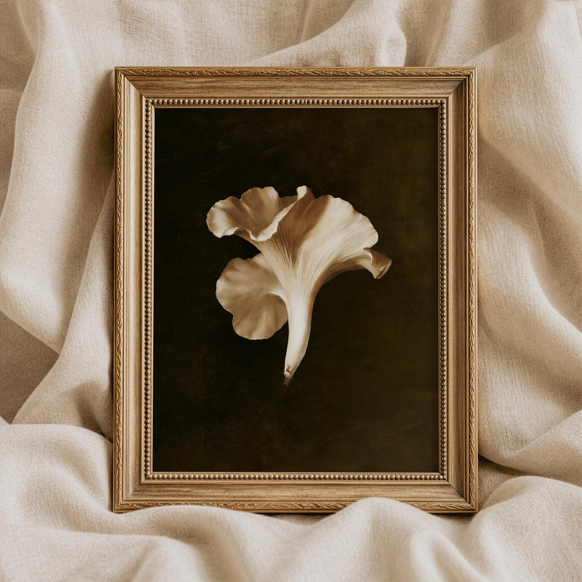 Close-up fungus artwork digital download — cottagecore forest aesthetic on charcoal background