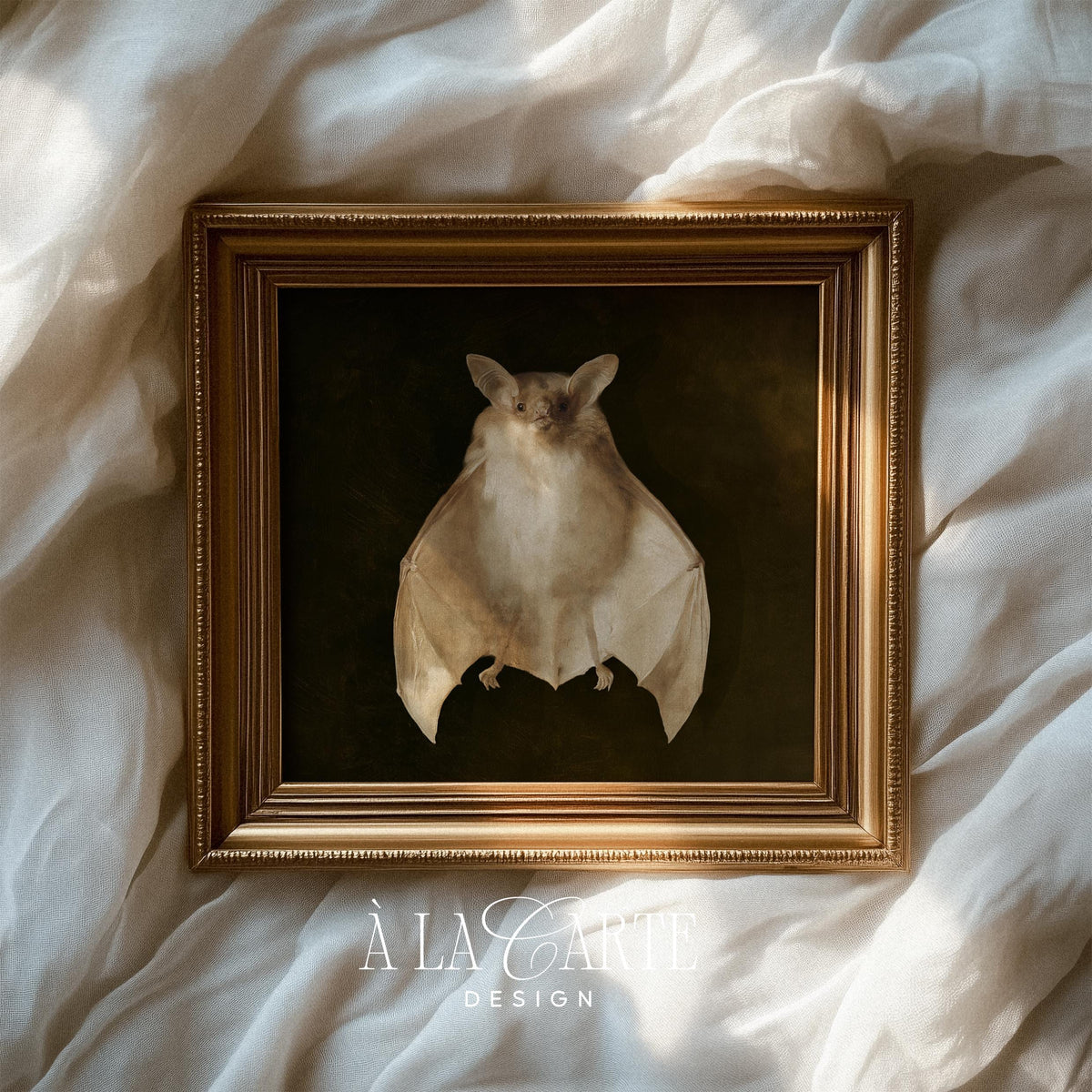 Bat facing forward digital wall art for library — antique natural history painting with rich textured oil aesthetic