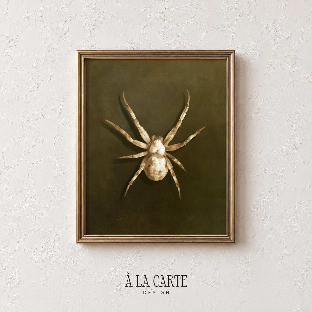 Antique specimen spider printable wall art — dark academia Halloween gallery aesthetic aged finish