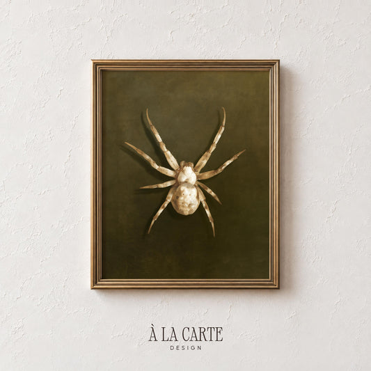 Antique specimen spider printable wall art — dark academia Halloween gallery aesthetic aged finish