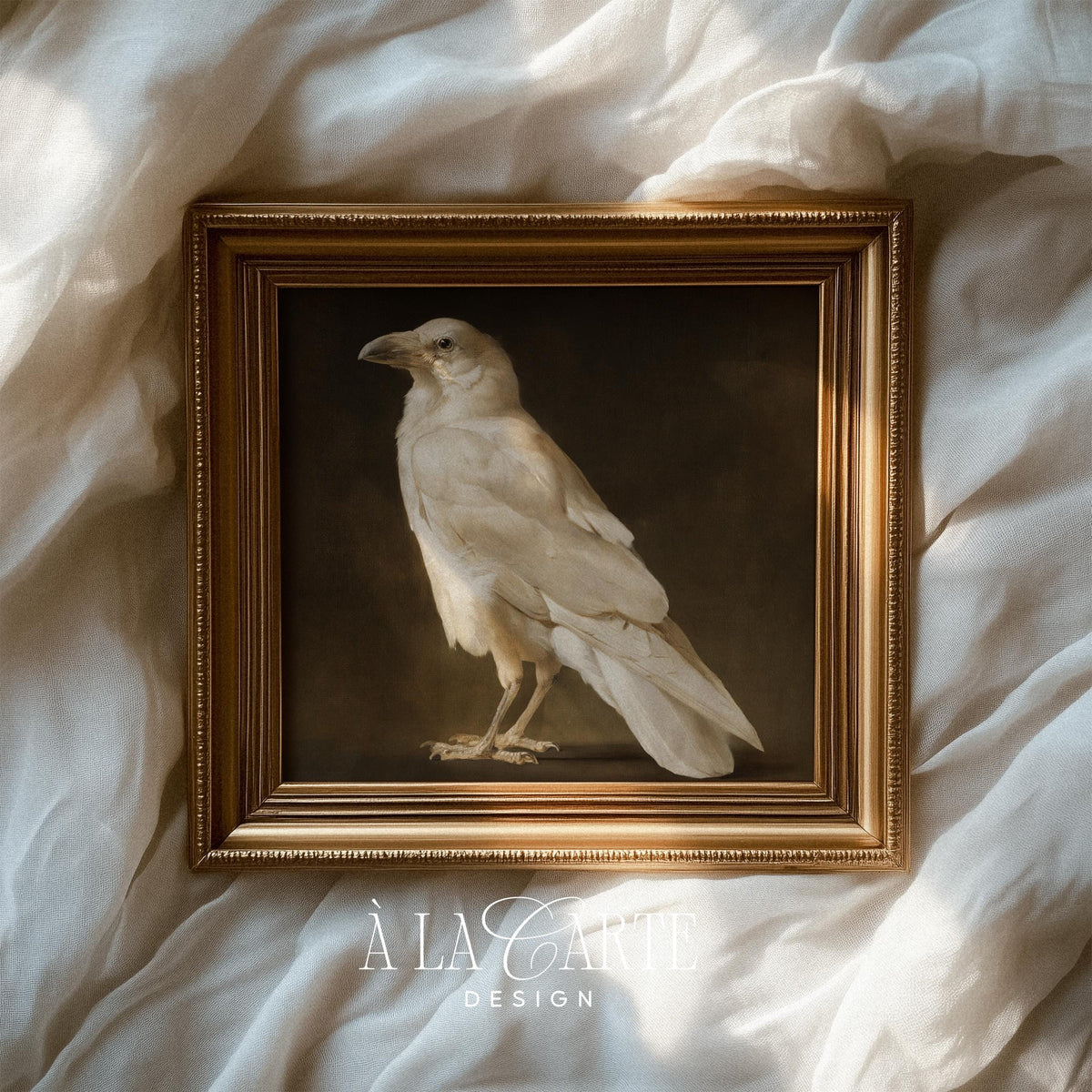 Dark academia bird poster instant download — white plumage stands against deep shadowy backdrop, classical appeal