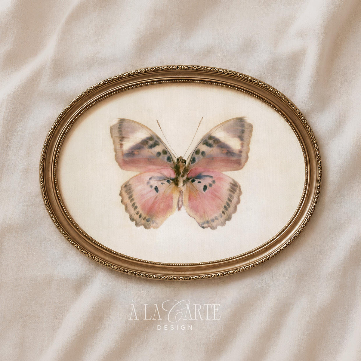 Delicate winged insect digital print featuring soft pink, cream, and gray naturalist palette
