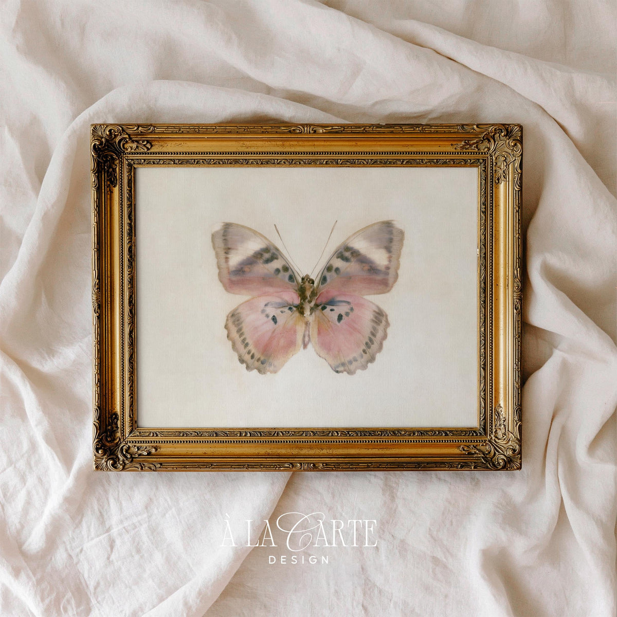 Vintage entomology picture printable showing symmetrical pink wings on textured ivory canvas