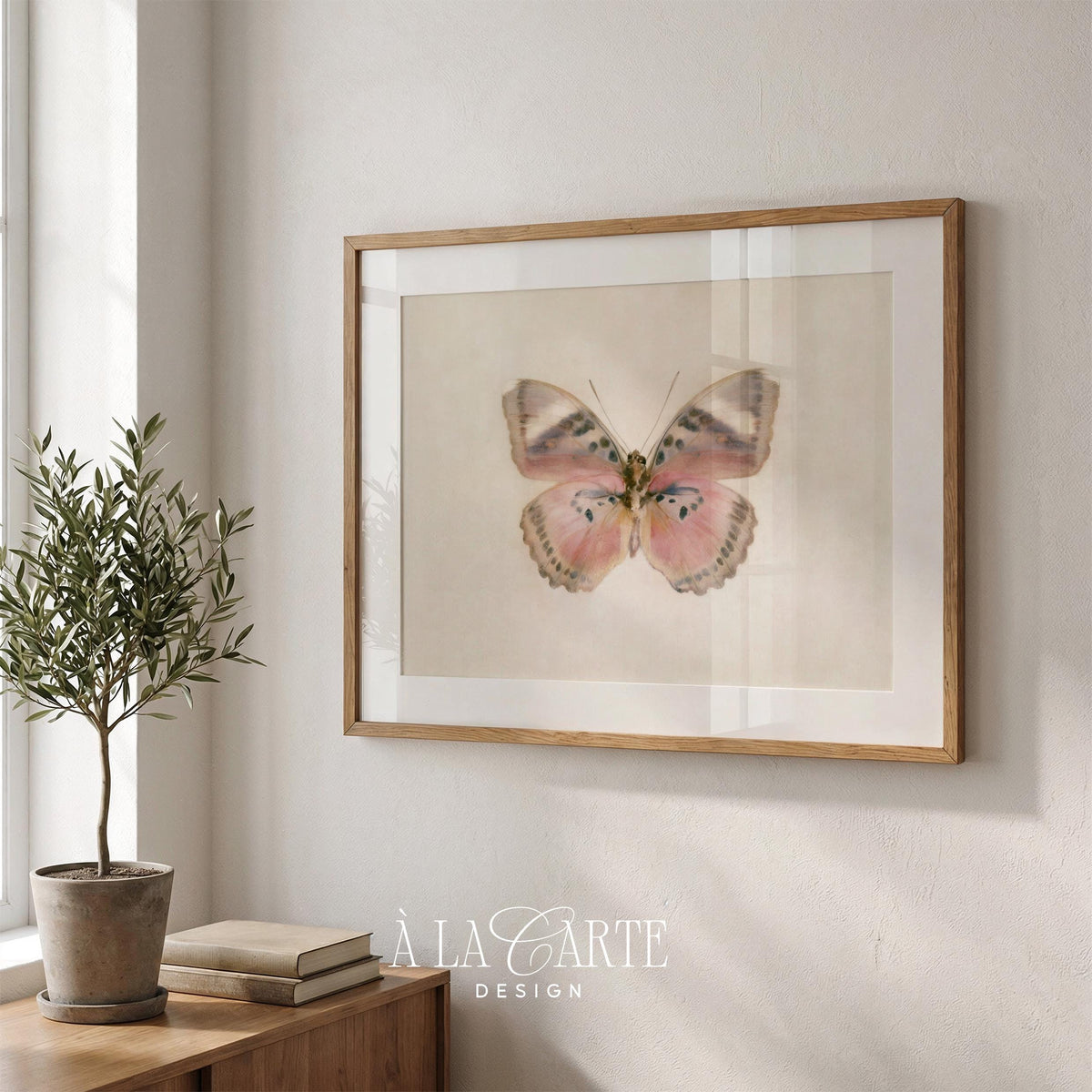 Naturalist moth artwork for living room — soft neutral palette with fine detail botanical style