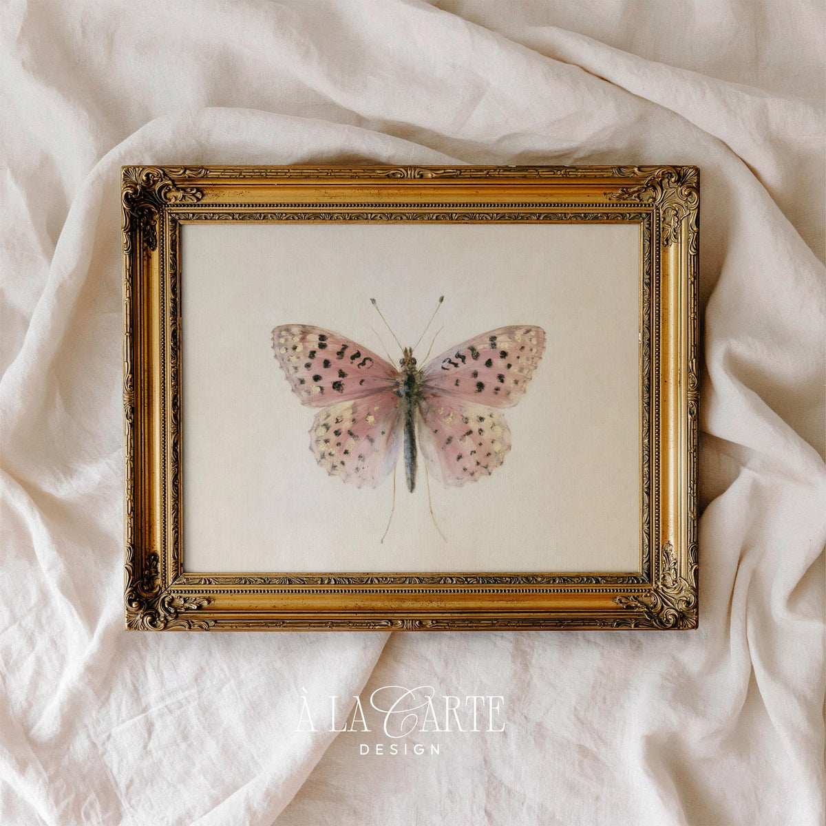 Vintage-style lepidopteran printable art — detailed specimen drawing on cream textured background