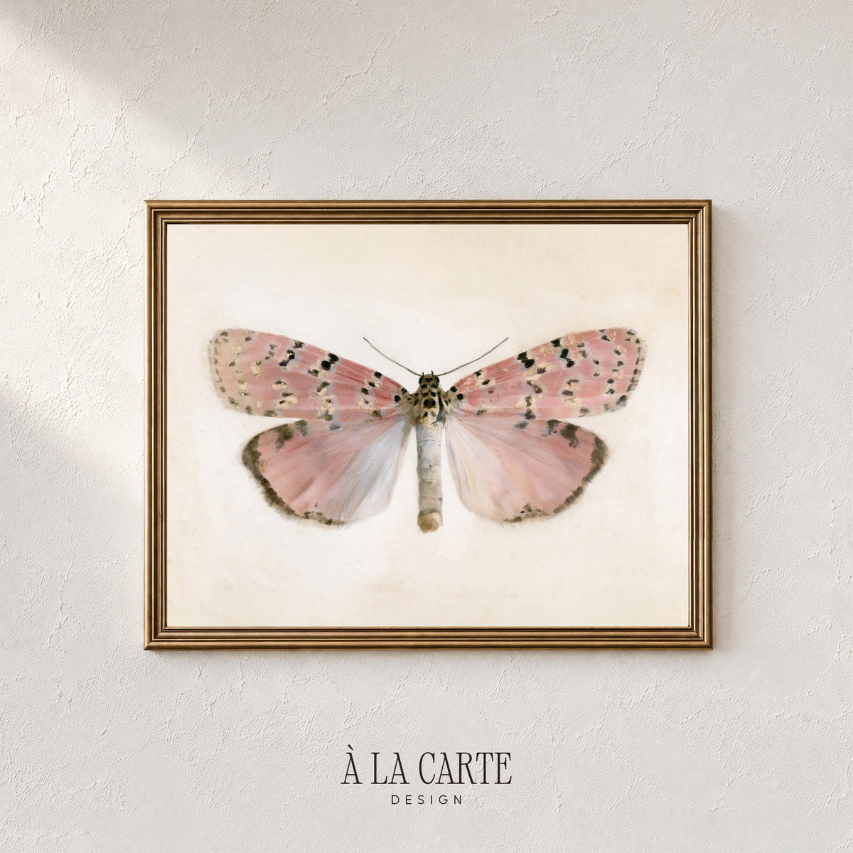 Pastel Butterfly Wall Art, Vintage Pink Moth Painting, Cottagecore Print, Insect Poster, Grandmillennial Art, French Country Decor V270
