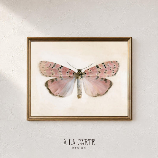 Pastel Butterfly Wall Art, Vintage Pink Moth Painting, Cottagecore Print, Insect Poster, Grandmillennial Art, French Country Decor V270