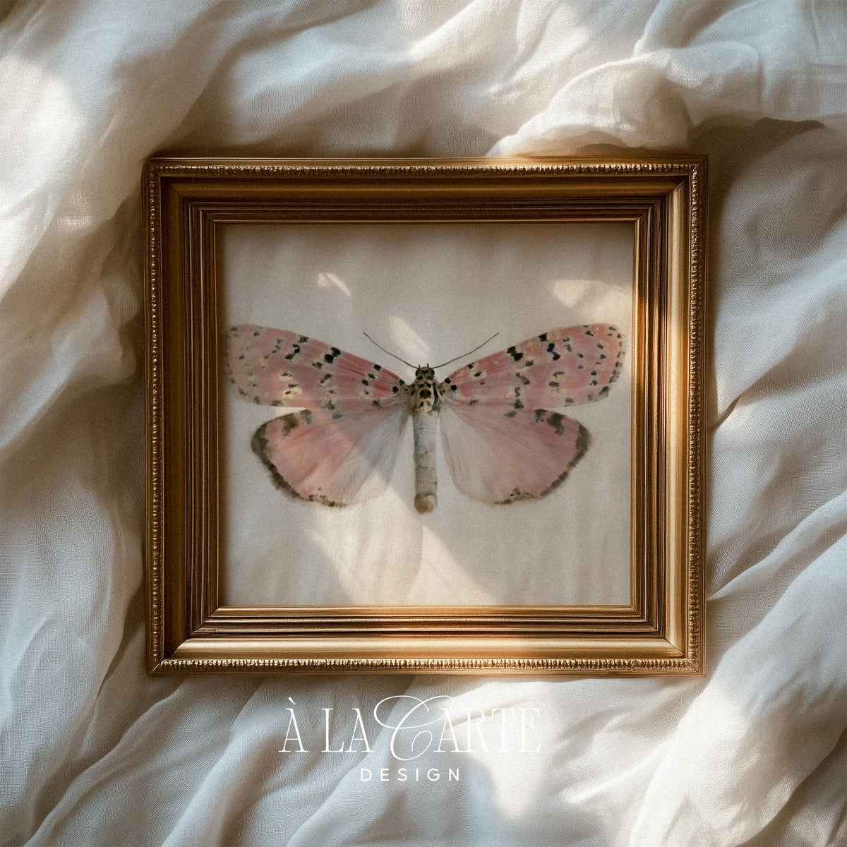 Pastel Butterfly Wall Art, Vintage Pink Moth Painting, Cottagecore Print, Insect Poster, Grandmillennial Art, French Country Decor V270