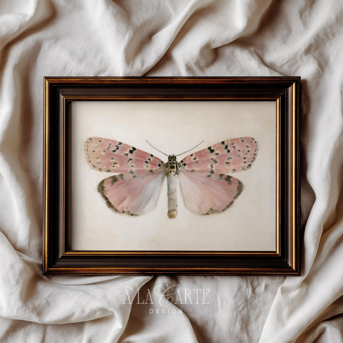 Pastel Butterfly Wall Art, Vintage Pink Moth Painting, Cottagecore Print, Insect Poster, Grandmillennial Art, French Country Decor V270