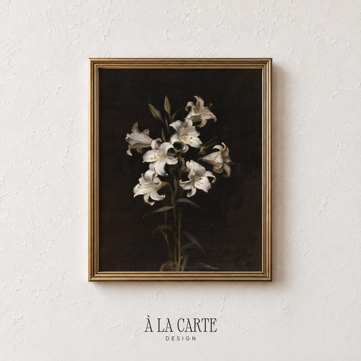 Classic white flower illustration printable — antique botanical study with shadowy sophisticated ambiance