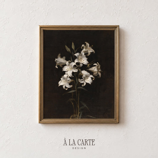 Classic white flower illustration printable — antique botanical study with shadowy sophisticated ambiance
