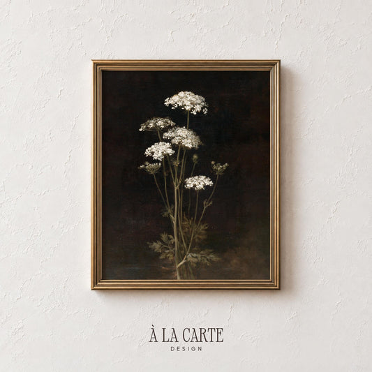 Botanical lace flower digital download for living room — vintage painting with dramatic dark background and rustic elegance