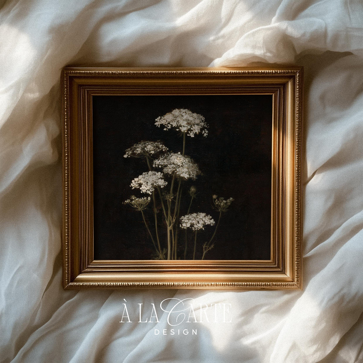 Queen Anne's Lace wildflower printable art for bedroom — moody dark botanical with delicate white blooms and green stems