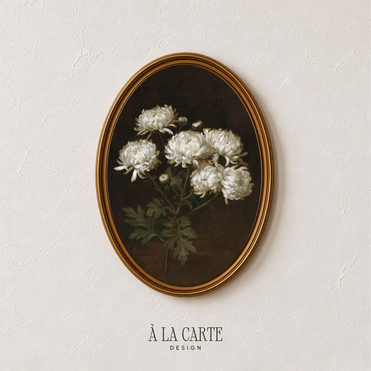 Classic chrysanthemum digital artwork featuring vintage botanical style and rich tonal contrast