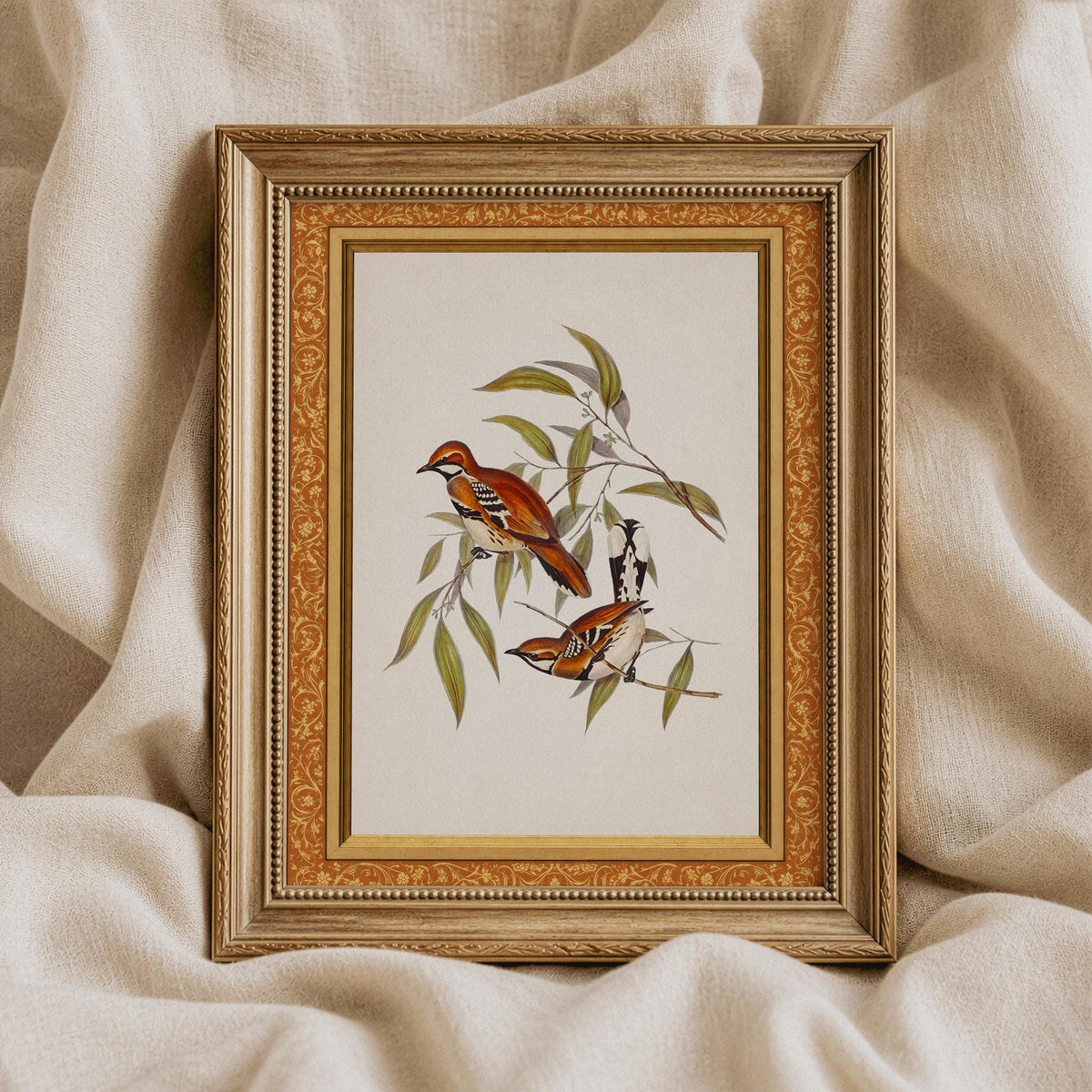 Small songbirds among branches picture for gallery walls — classic natural history aesthetic and grandmillennial style