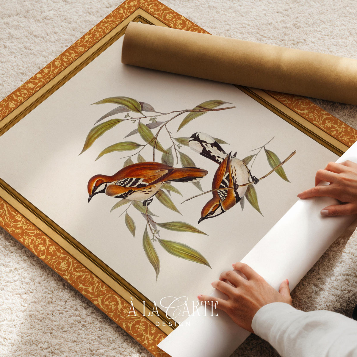 Hand-painted feathered duo artwork with soft coloring — heritage-inspired wall decor for farmhouse entryways