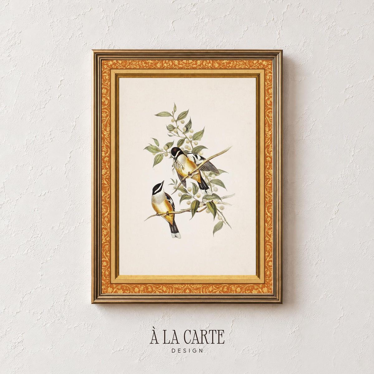 Black-capped perching birds canvas-style digital print for study nook — antique nature field guide artwork with French country character