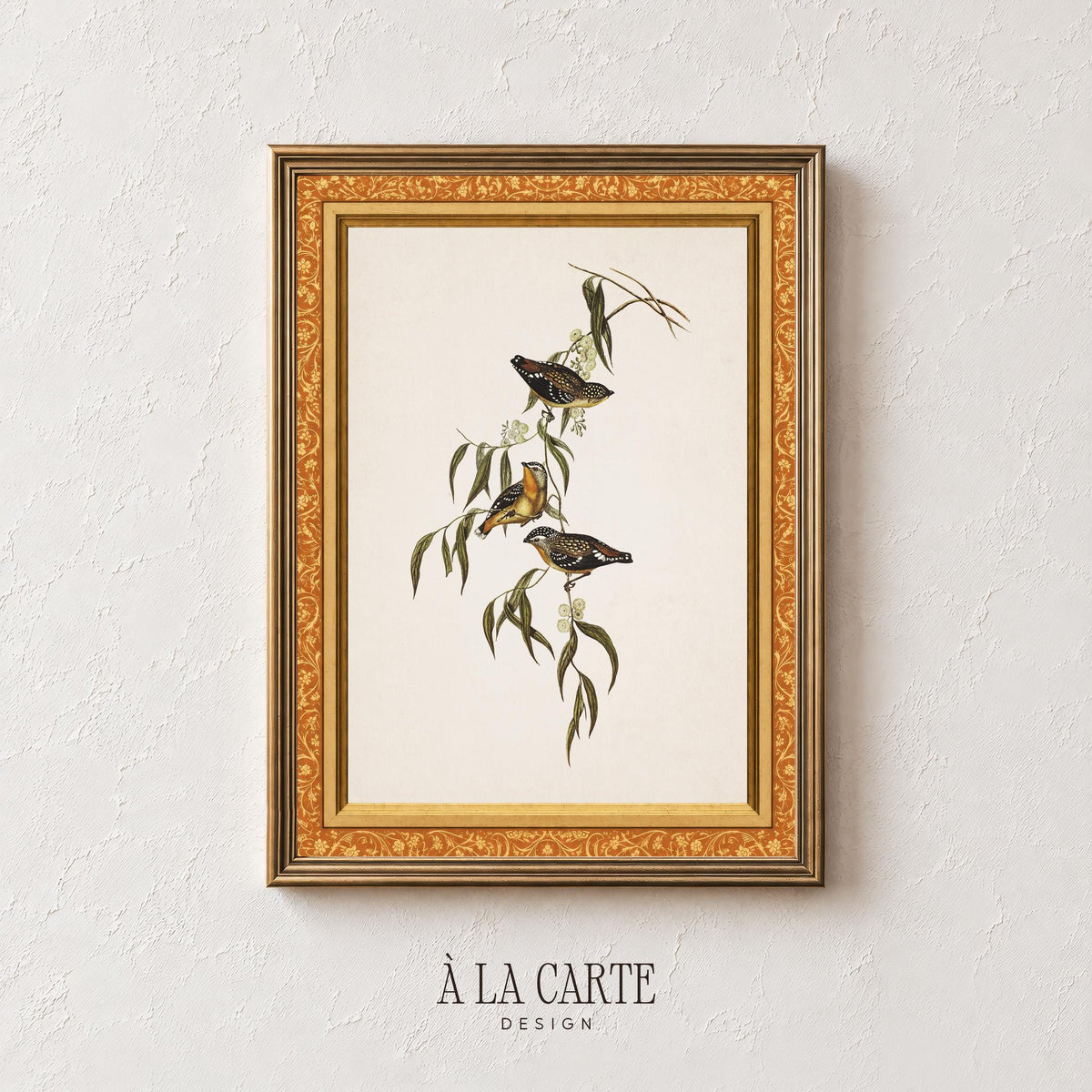 Songbird illustration with white flowers digital download — French country wall art on cream background