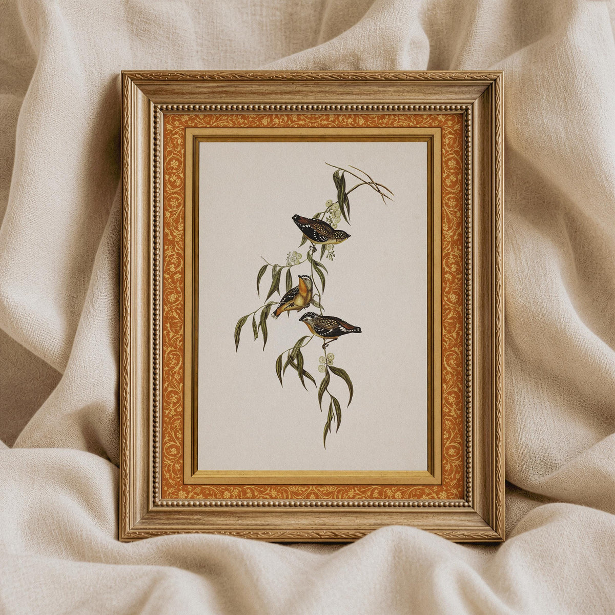Small birds resting on botanical branch artwork — vintage field guide aesthetic with fine linework for bedroom