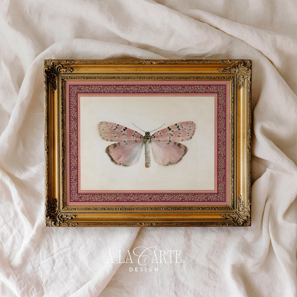 Natural history moth digital print — detailed naturalist illustration with symmetrical wings on aged parchment and ornate framing