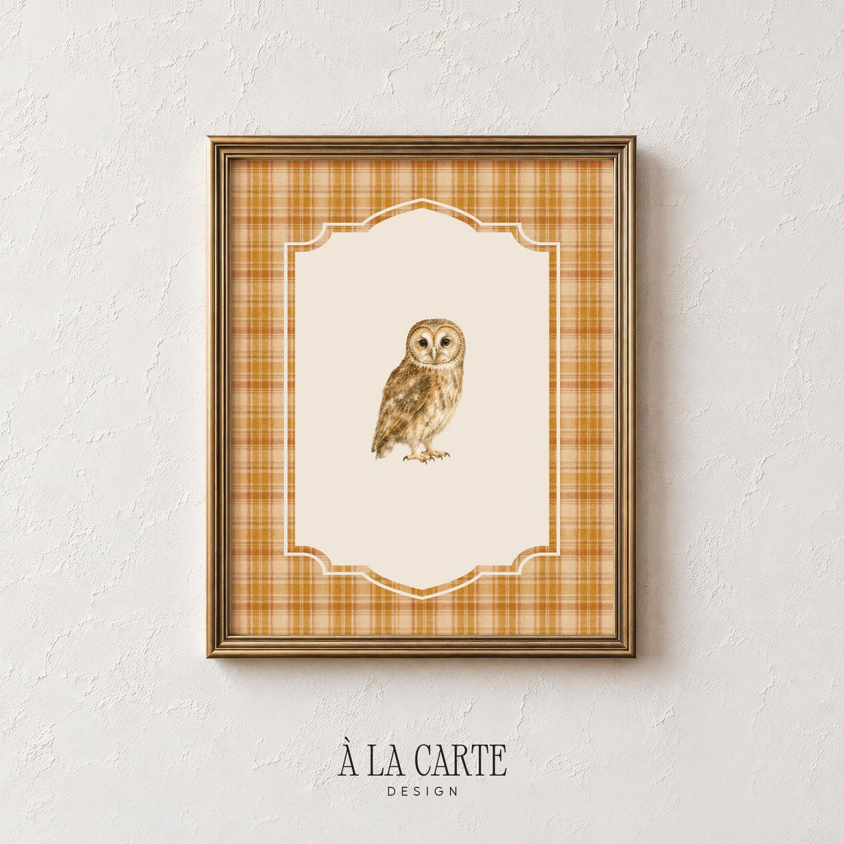 Barn owl digital art for office — soft detailed painting with vintage aesthetics and warm orange cream plaid decoration