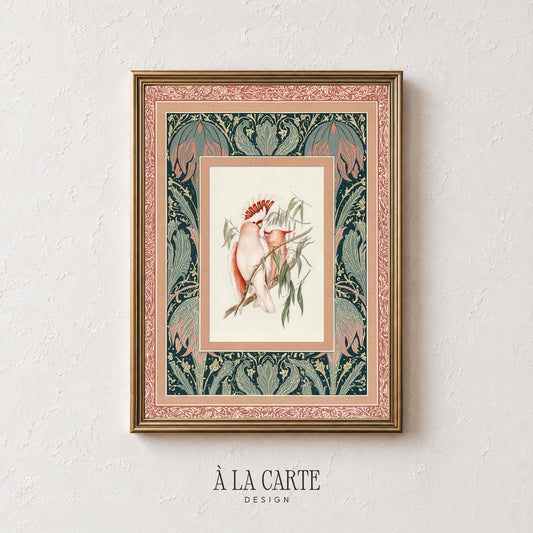 Twin cockatoos instant download wall art — cottagecore botanical illustration in romantic hues