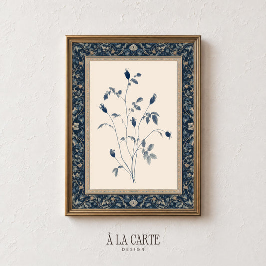 Hand-drawn seed pod poster for study — cottagecore floral pattern art with naturalist herbarium aesthetic