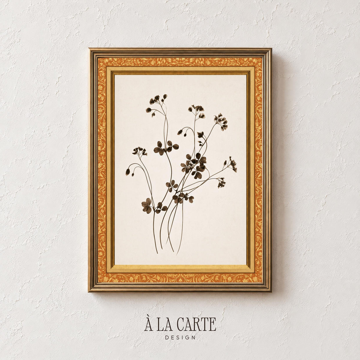 Vintage botanical specimen digital download — French country inspired pressed-flower illustration on cream heritage background