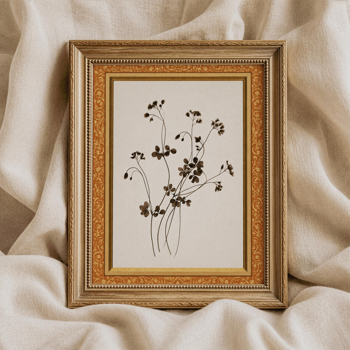 Delicate four-petal flower artwork for study — antique herbarium-inspired botanical design with airy natural arrangement