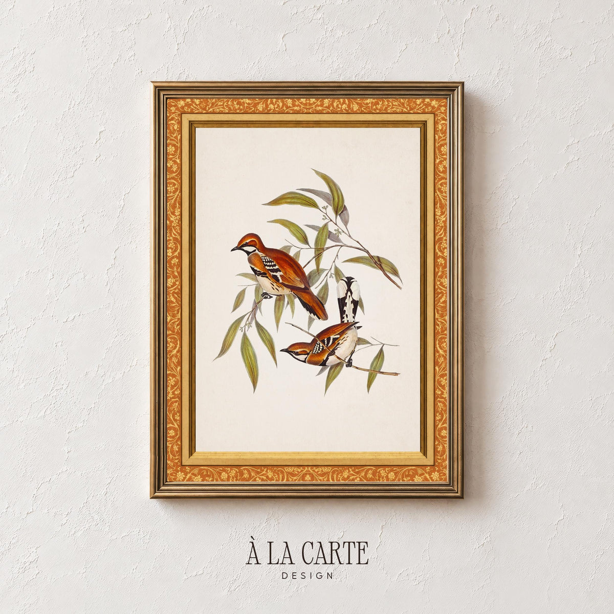 Delicate perched birds printable art featuring olive foliage — rustic nature study for bedroom walls