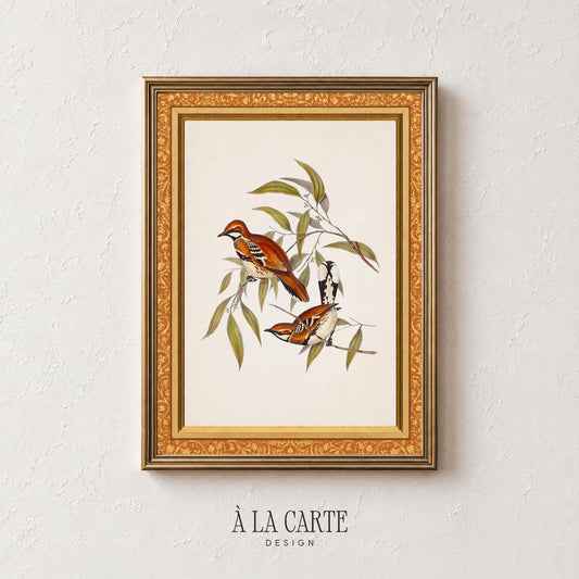 Delicate perched birds printable art featuring olive foliage — rustic nature study for bedroom walls