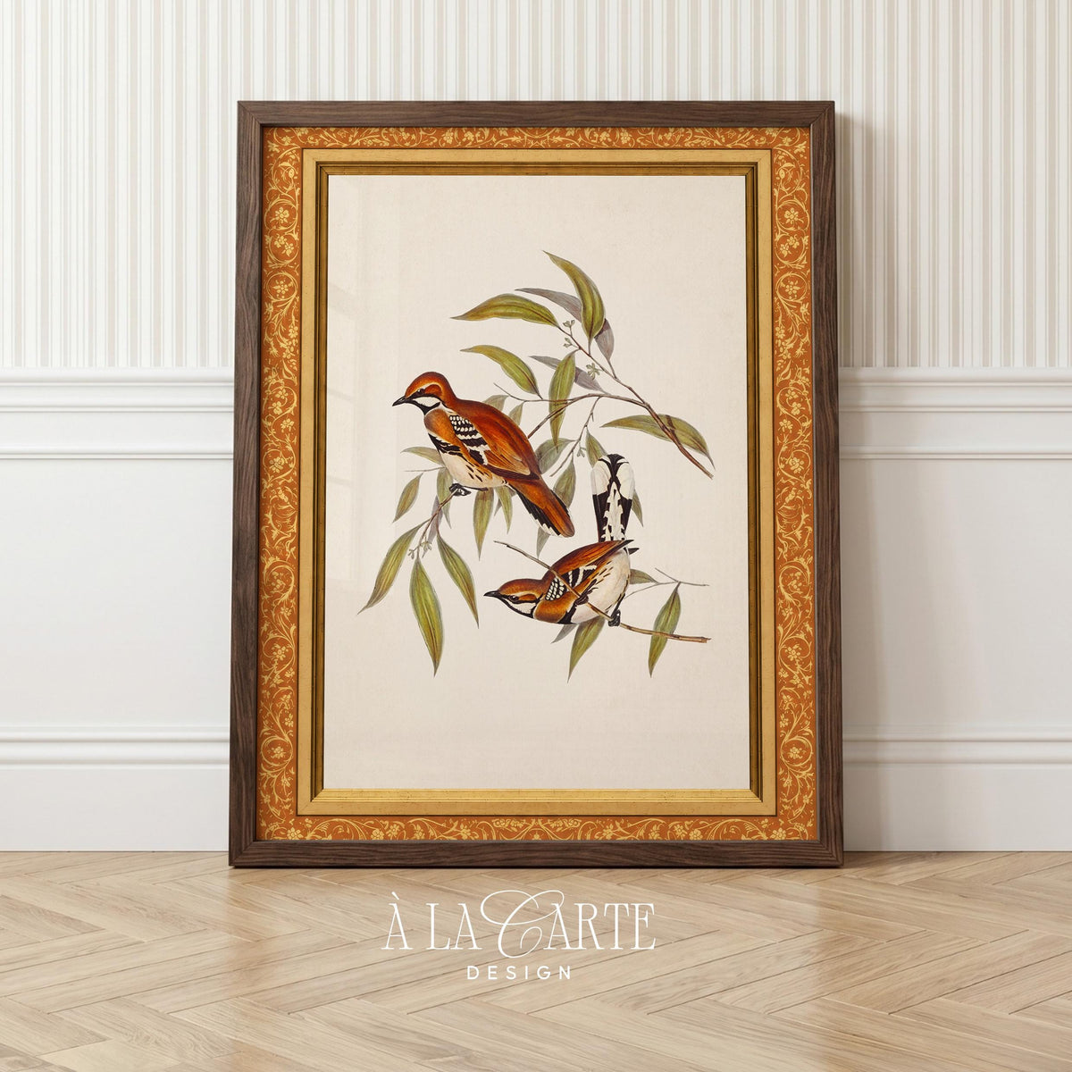 Pair of cream and burnt-sienna birds digital print — antique ornithological artwork for cottagecore homes