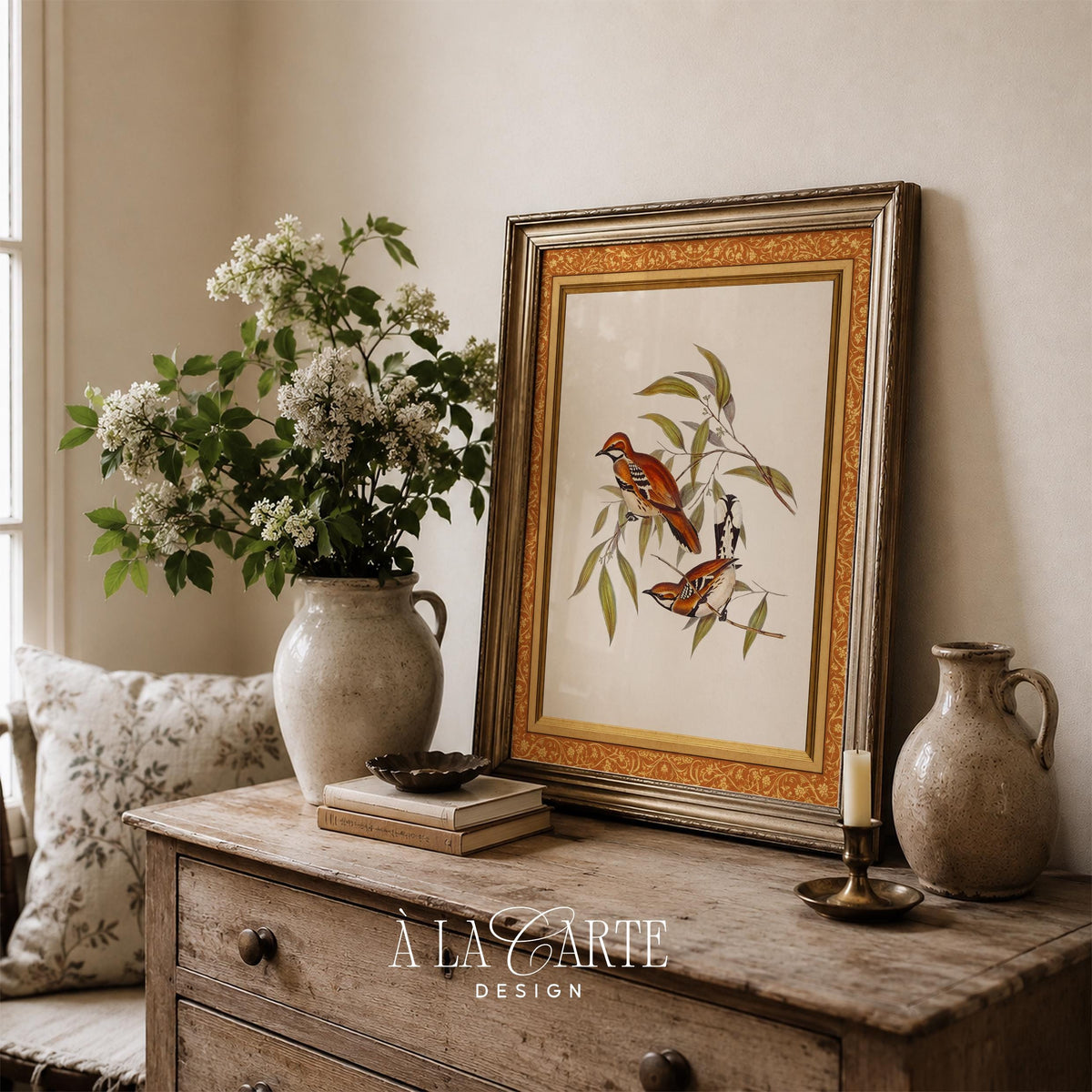 Classic bird study illustration poster featuring warm tones — nature-inspired wall picture for country homes