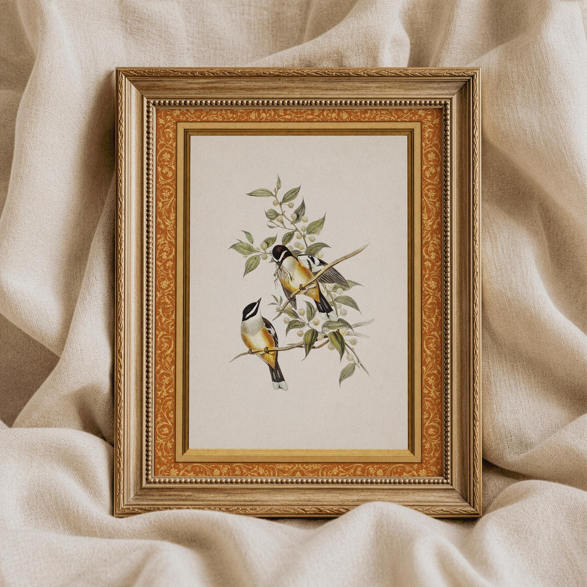 Black-capped songbirds on branches printable art for study — vintage nature illustration with cream aged-paper background
