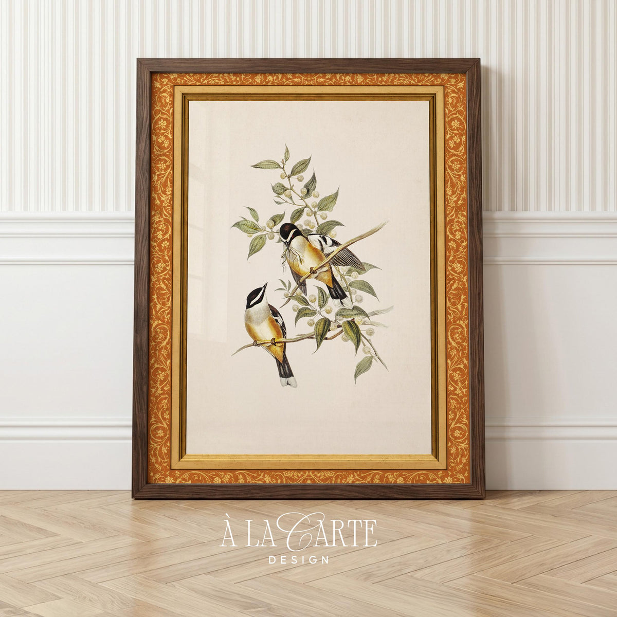 Woodland songbird wall art for farmhouse — vintage naturalist drawing with fine linework and muted earth tones