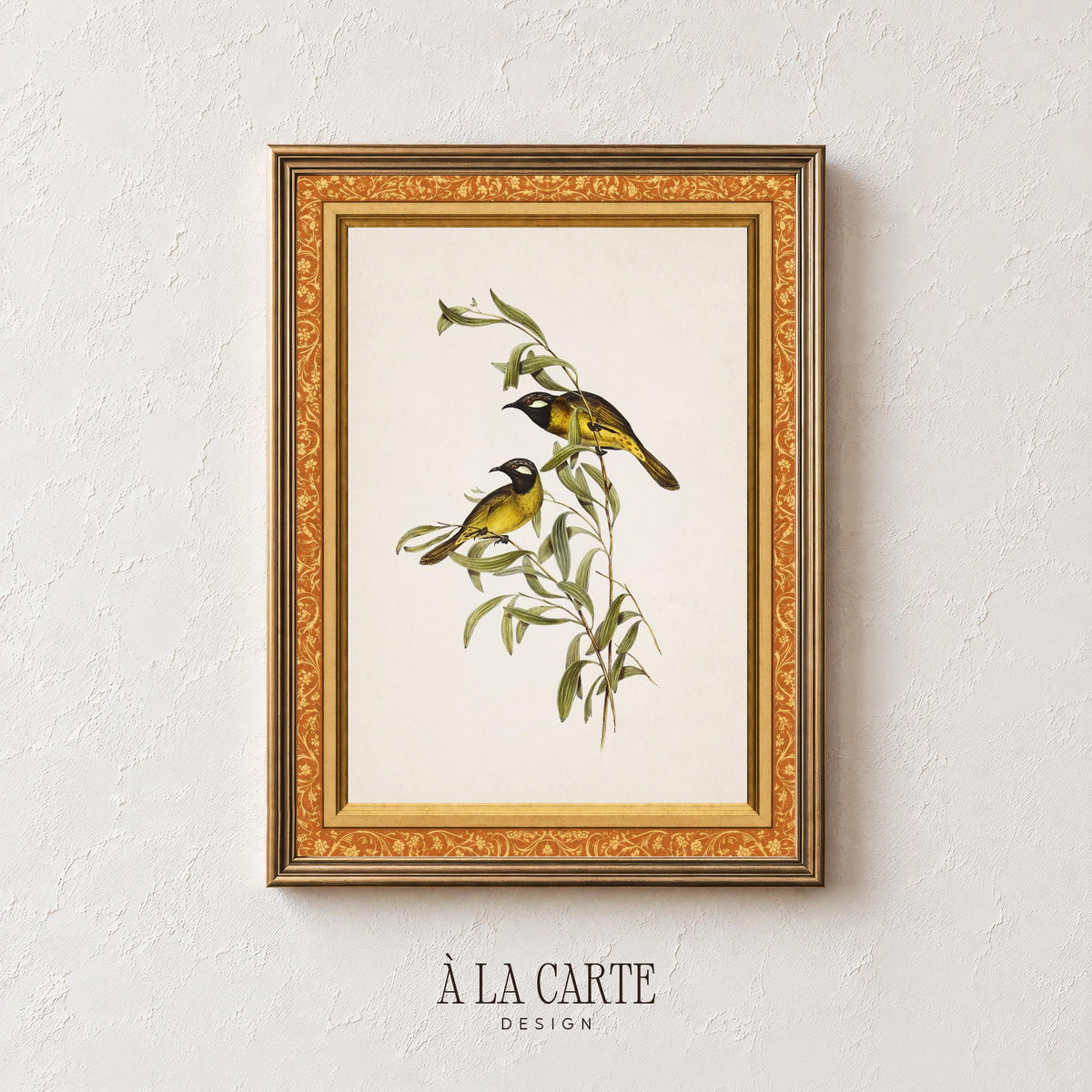 Vintage ornithology poster art featuring perched birds and soft-colored botanical elements
