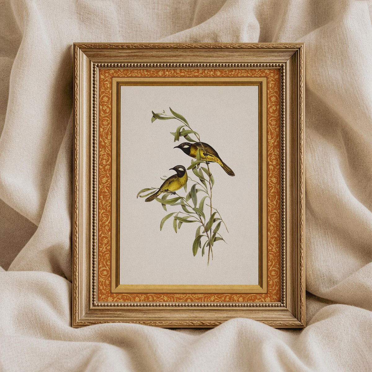 Grandmillennial bird wall decor featuring yellow and black plumage on flowering branch illustration