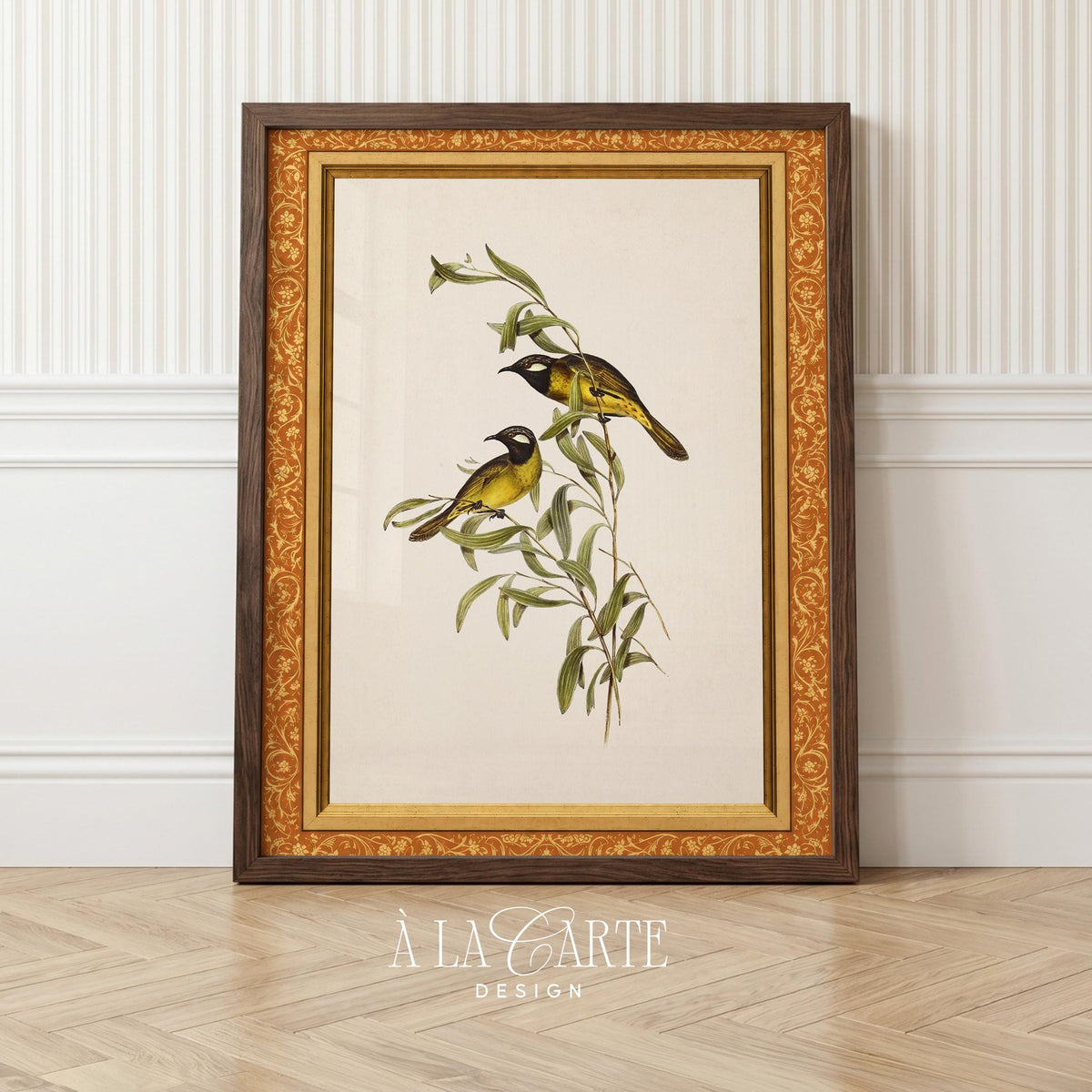 Natural history bird picture printable for gallery wall — rustic antique botanical aesthetic